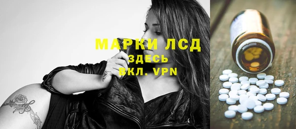 прущие грибы Киреевск