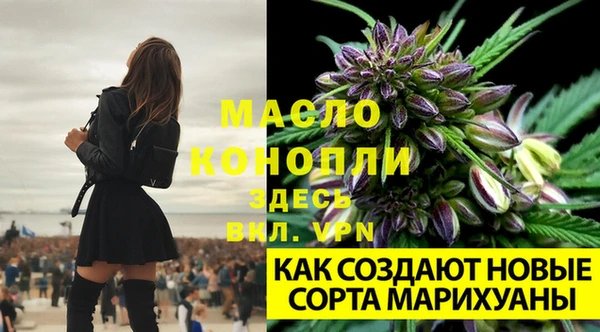 каннабис Армянск